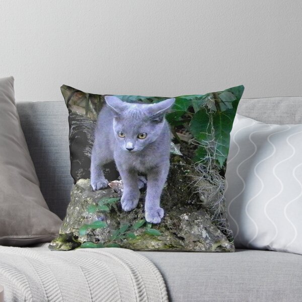 Item preview, Gray Kitten Exploring a Big World designed and sold by Sandra Russell.
