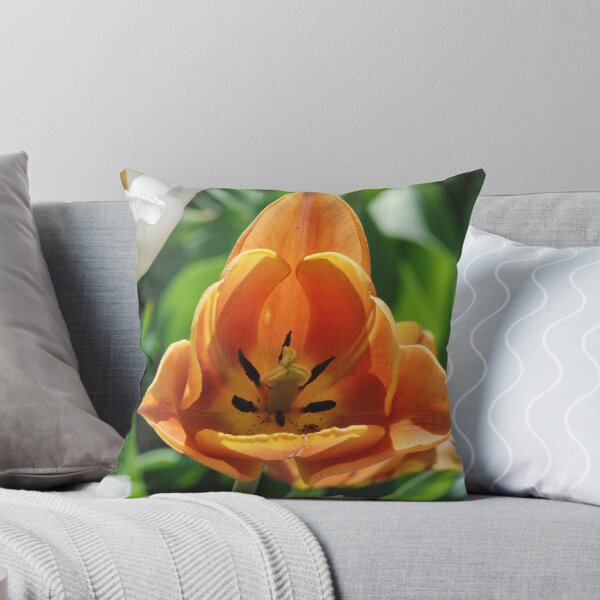 Artikelvorschau, Orange Tulip entworfen und verkauft von Mark McReynolds.