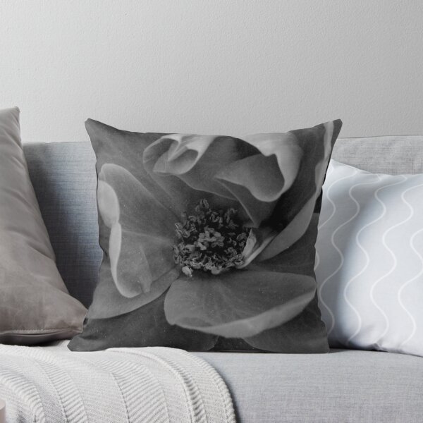 Artikelvorschau, B/W Rose entworfen und verkauft von FathersWorld.