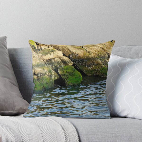 Item preview, Water and Rocks designed and sold by Carol F. Austin.