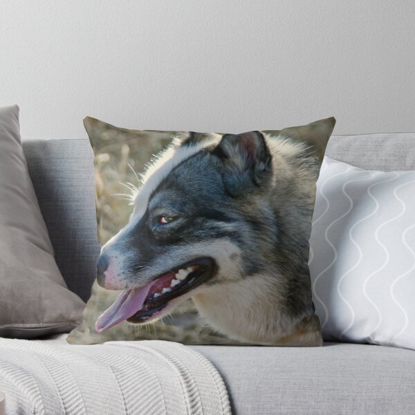 Artikelvorschau, Greenland Dog entworfen und verkauft von Doug McRae.