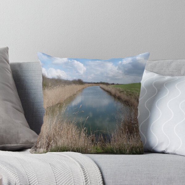 Item preview, The Long walk in Essex. Where will it End designed and sold by Sandra Willis.