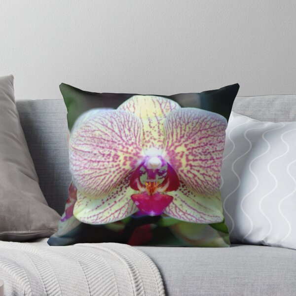 Item preview, Orchid 02 designed and sold by freevette.