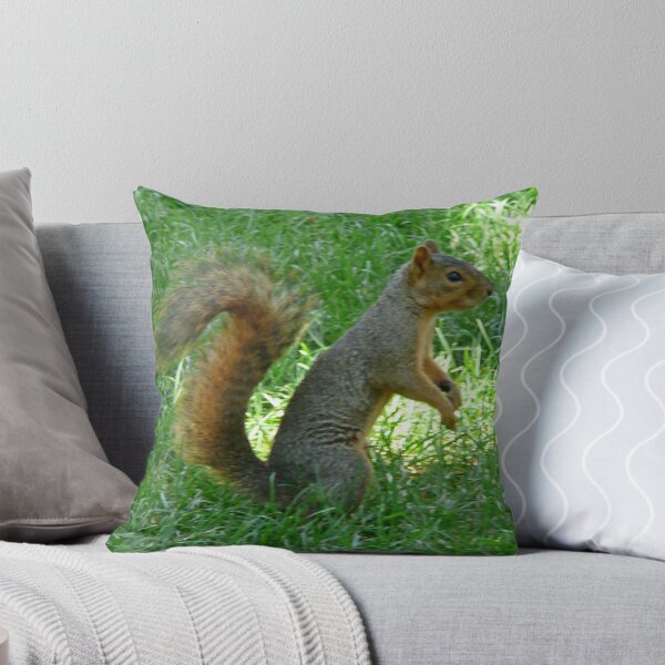 Item preview, Squirrel designed and sold by Margaret  Hyde.