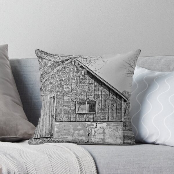 Item preview, The Little Old Shed  designed and sold by Marcia Rubin.