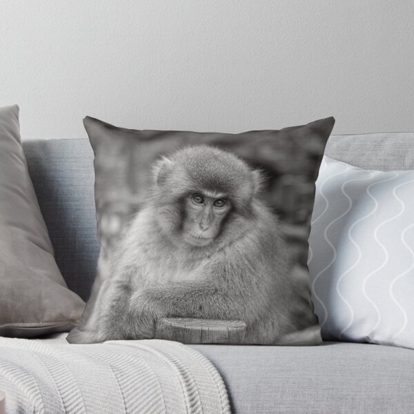 Item preview, Bartender! Another drink please.  Snow Monkeys designed and sold by Norman Repacholi | Keystone Photography.