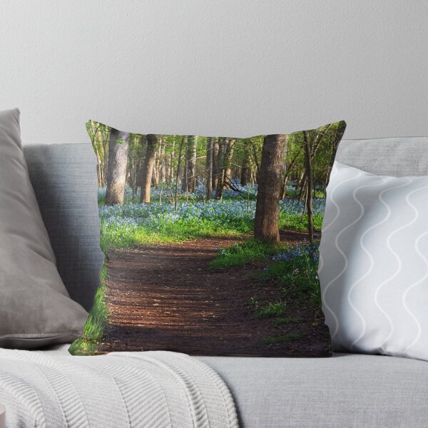 Item preview, A Walk in the Woods - Bull Run Regional Park, Manassas, VA designed and sold by Matthew Kocin.