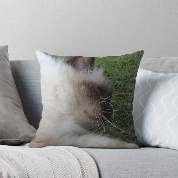 Item preview, Just Let Me Sleep designed and sold by BekJoy.