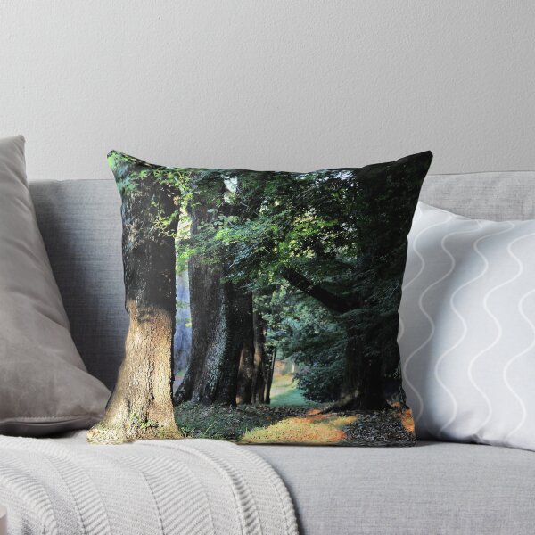 Artikelvorschau, Sun Kissed - Mt Wilson NSW Australia entworfen und verkauft von Bev Woodman.