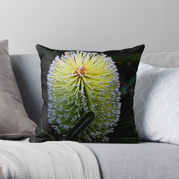 Banksia aemula Throw Pillow