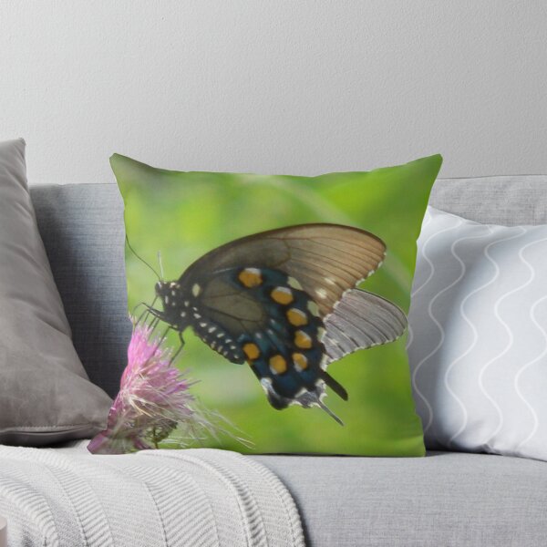 Item preview, Pipevine Swallowtail Lady designed and sold by Navigator.