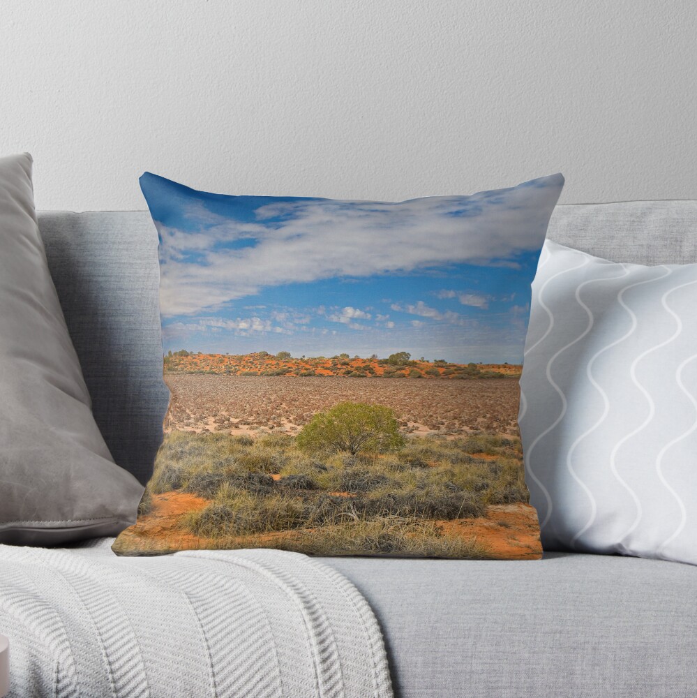 Lake Disappointment Throw Pillow