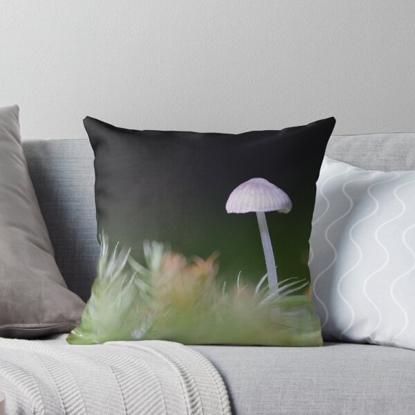 Item preview, Tiny in the Rainforest: Iluka, NSW designed and sold by SunshineKaren.