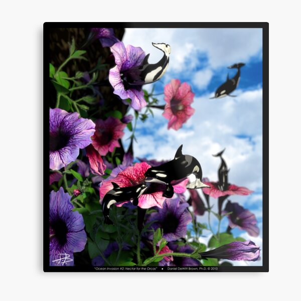 Ocean Invasion #2: Nectar for the Orcas Metal Print