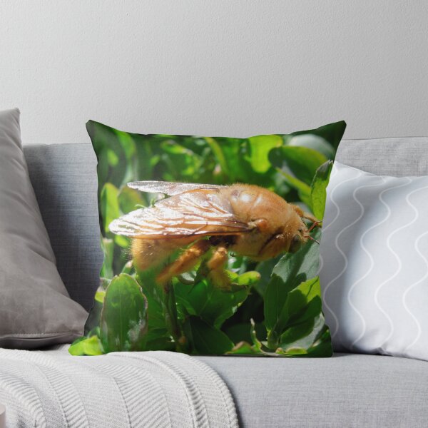 Item preview, Emerging New Life  designed and sold by djackson.