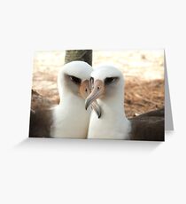 Lovebirds Greeting Card