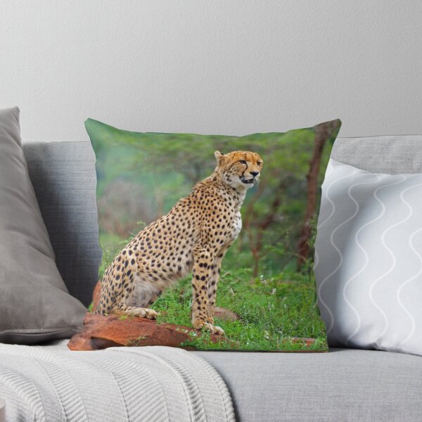 Item preview, Concentration designed and sold by safarimack.