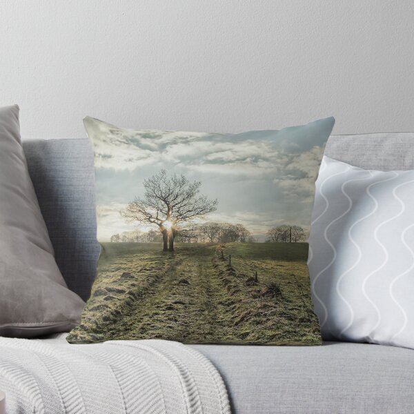 Item preview, Winter Sun designed and sold by cj1970.