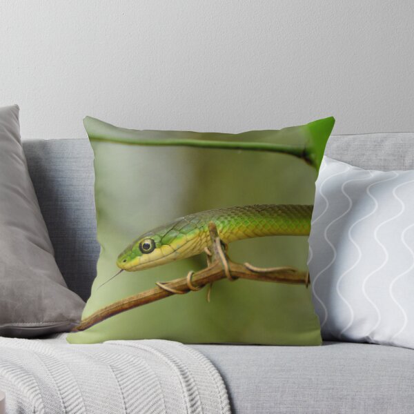 Item preview, Rough Green Snake designed and sold by Kathy Baccari.