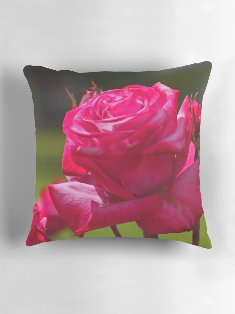 Thumbnail 3 of 4, Pillow, Spring  Roses designed and sold by Chet  King.