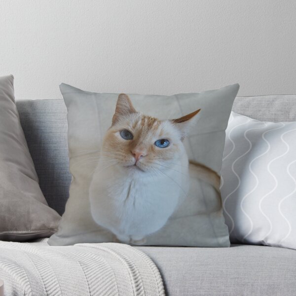 Item preview, Montecore, Handsome as Ever designed and sold by montecore827.