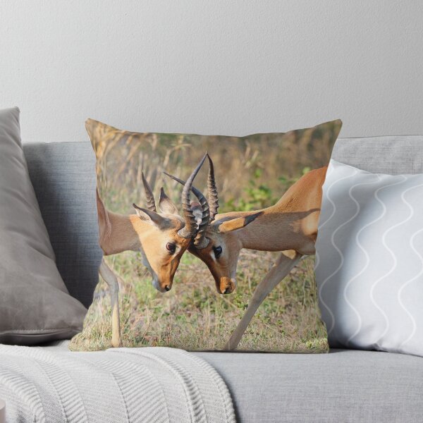 Item preview, Locked horns! designed and sold by Anthony Goldman.