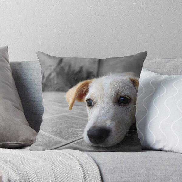Item preview, Puppy designed and sold by Christopher Lloyd.