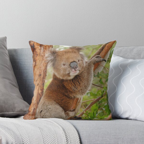Artikelvorschau, Koala  entworfen und verkauft von Rob Watson.