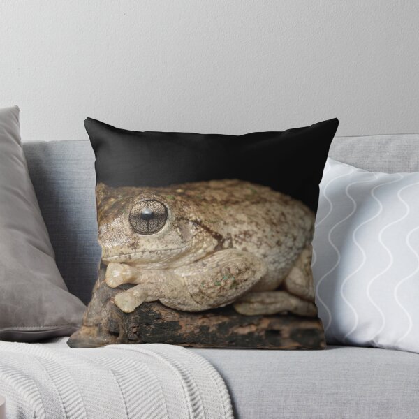 Item preview, Peron's Tree Frog - Litoria peronii designed and sold by Andrew Trevor-Jones.