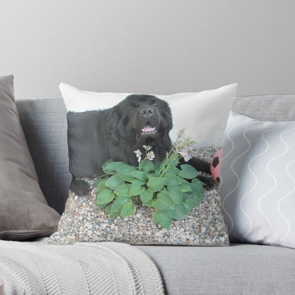 Item preview, My Boy designed and sold by Dawn Kwasny.