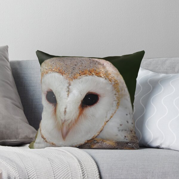 Item preview, "Wise Owl" designed and sold by jonxiv.