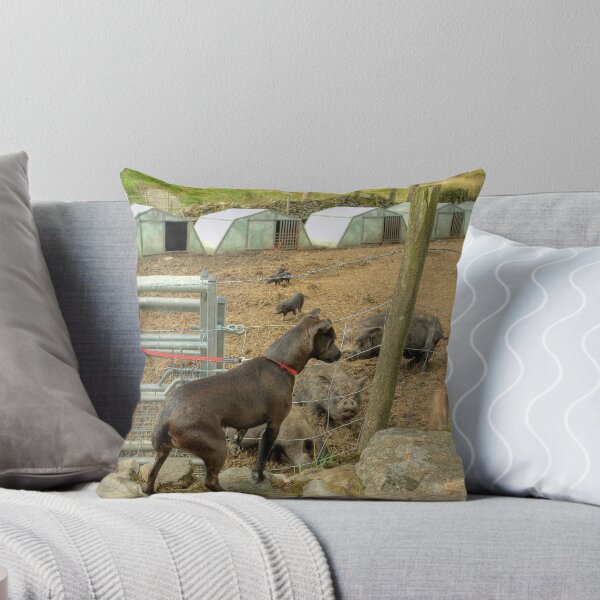 Item preview, The Trouble With Stone Walls... designed and sold by Jamie  Green.