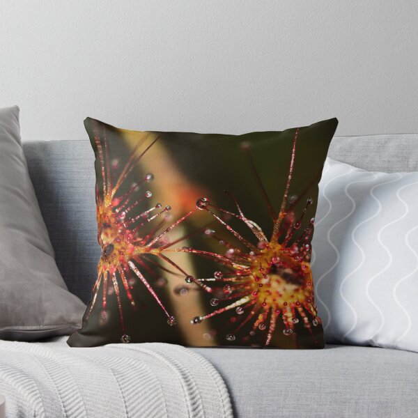 Item preview, Drosera Peltata designed and sold by andrachne.