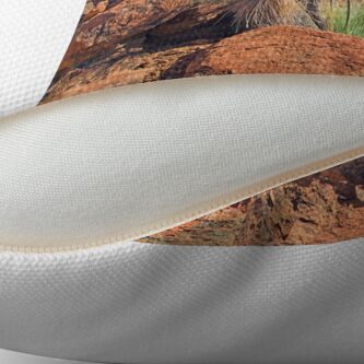 Alternate view of Arkaroola Grass Trees 1 Throw Pillow