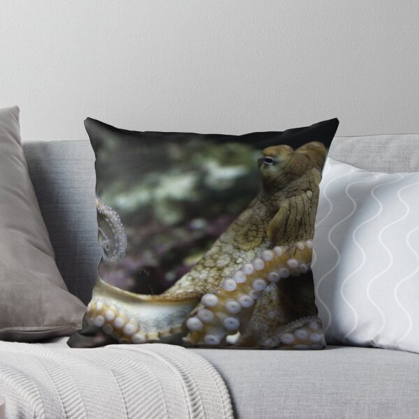 Item preview, Tako designed and sold by ZWC Photography.