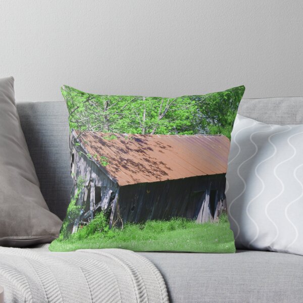 Item preview, RAMSHACKLE SHED designed and sold by Pauline Evans.