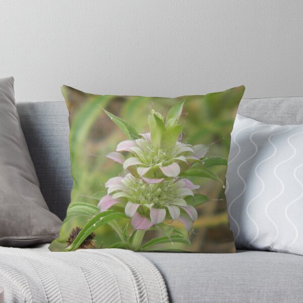 Item preview, Bee Balm with Stamen - Best Viewed Larger designed and sold by Navigator.