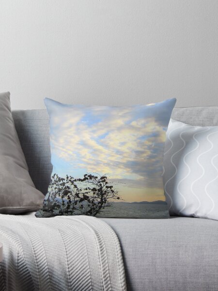 Just After Sunset Throw Pillow