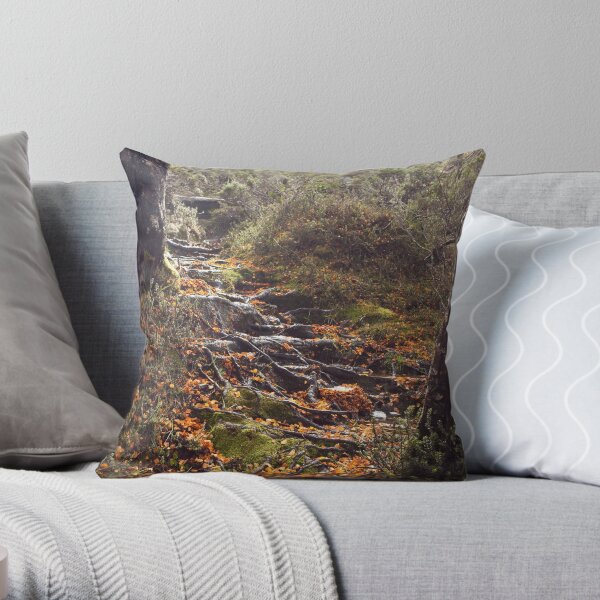 Natures Garden Path Throw Pillow