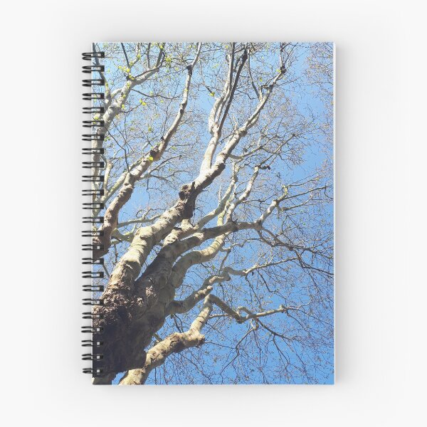 Item preview, Blue sky and budding tree designed and sold by 1ImmortalHope4.