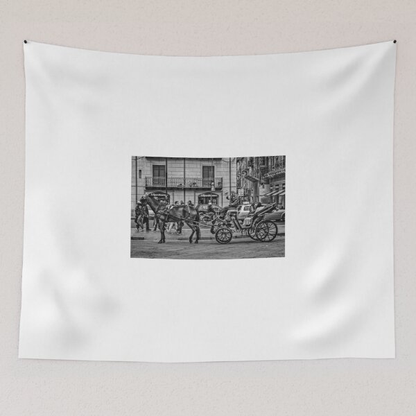 Item preview, Calesse al Teatro Massimo designed and sold by alessionastro.