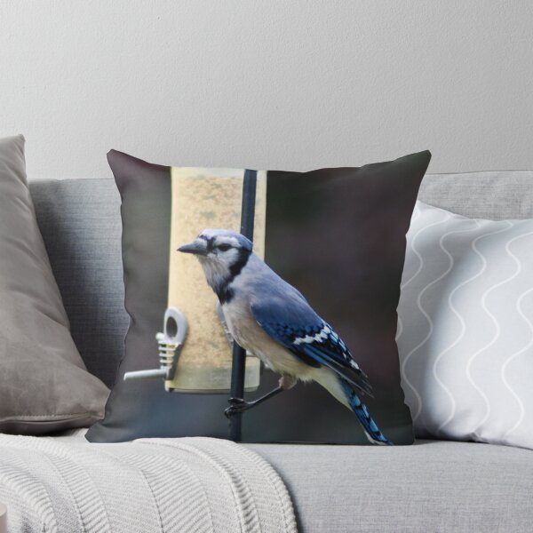 Artikelvorschau, Blue Jay at Feeder entworfen und verkauft von Mark McReynolds.
