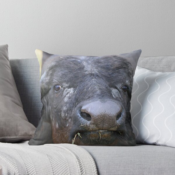 Item preview, Cape buffalo -up close and personal! designed and sold by Anthony Goldman.
