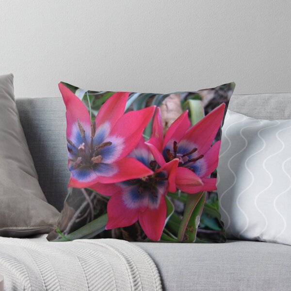 Item preview, Tulipa Glory designed and sold by MarianBendeth.