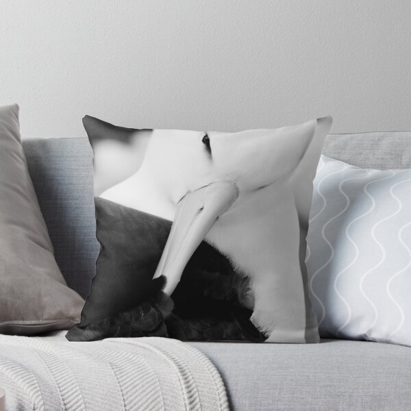 Item preview, Albatros de ceja negra designed and sold by Travelimages.com.au.