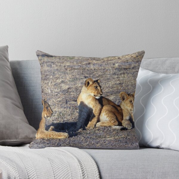 Item preview, Three Lion cubs in Morning sunshine designed and sold by nymphalid.