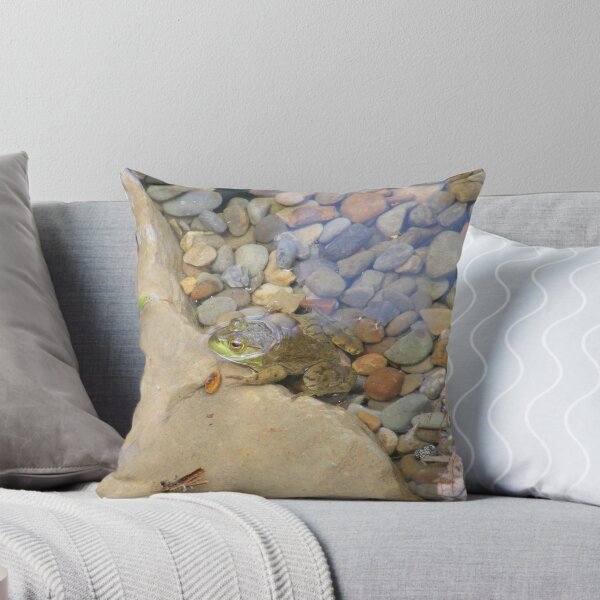 Item preview, Frog out of Water designed and sold by Sandra Lee Woods.