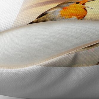 Alternate view of Robin At Sunset Throw Pillow