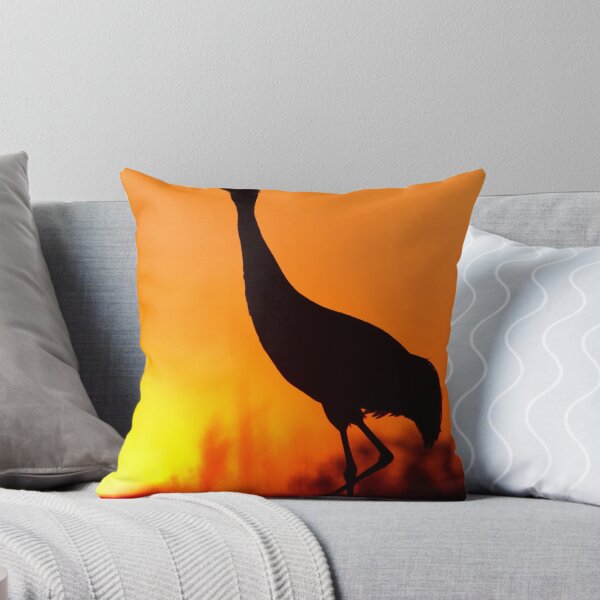 Item preview,  Florida designed and sold by Daniel Cadieux.