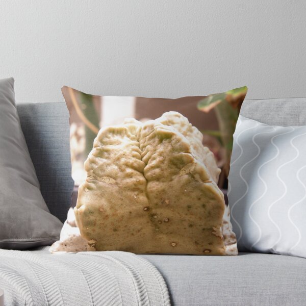 Item preview, Whitesloanea crassa designed and sold by Linda Gleisser.